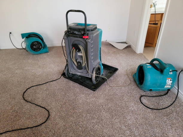 Best 24/7 water damage repair  in Royersford, PA