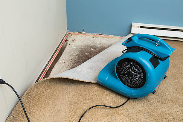 Trusted Royersford, PA Water damage restoration Experts